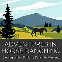 Adventures In Horse Ranching - Starting a (Small) Horse Ranch in Montana
