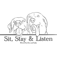 Sit, Stay, and Listen