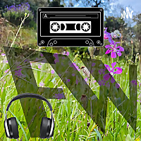 Field Whispers