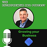 The Entrepreneur MBA Podcast with Stephen Halasnik