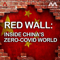 Red Wall: Inside China's zero-COVID world