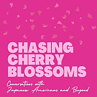 Chasing Cherry Blossoms