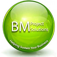 Business Management Project Solutions