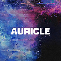 Auricle