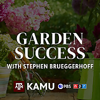 Garden Success with Stephen Brueggerhoff