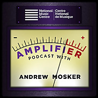 NMC Amplifier