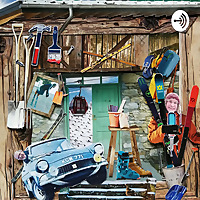 Locked in Shed - ski coaching podcast
