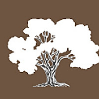 Vickers Funeral Homes Blog