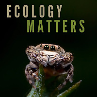 Ecology Matters