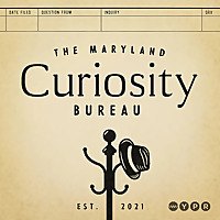 The Maryland Curiosity Bureau