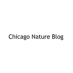 Chicago Nature Blog