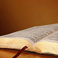 Teens Read The Book