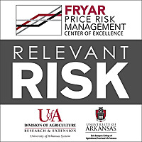 Relevant Risk