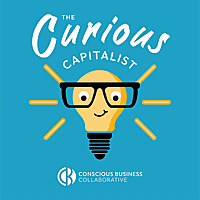 The Curious Capitalist