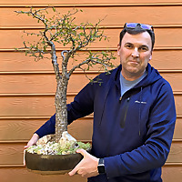 Sweetgum and Pines &raquo; Reptiles