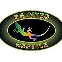 Painted Reptile