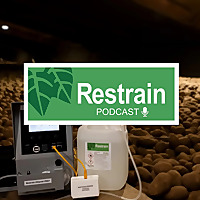 Potato News Today » Fast Food/Quick Service Restaurants