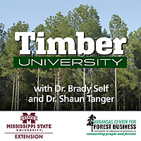 Timber University