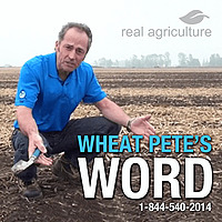 Wheat Pete's Word RealAgriculture