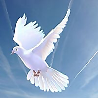 Agape Review
