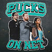 Pucks On Net