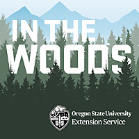 In the Woods