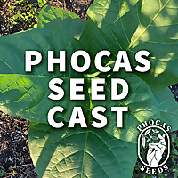 Phocas Seed Cast