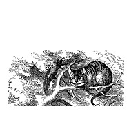 Wonderland with DJ Cheshire Cat from WESU Middletown