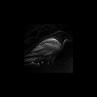 Dark Wings Dark Words (A Song of Ice and Fire / Game of Thrones Podcast)