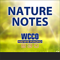 Nature Notes