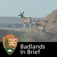 Badlands in Brief