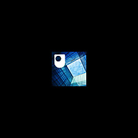 Management: Perspectives and Practice - Audio