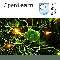 Addiction and neural ageing - for iBooks