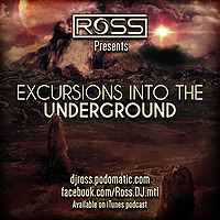 DJ Ross: Excursions Into the Underground