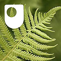 Environmental Ethics - for iPad/Mac/PC