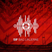 BAG LINJERNE