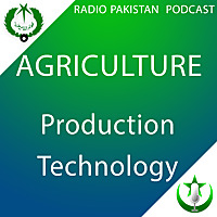 Production Technology