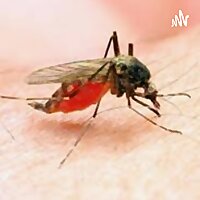 Malaria Medicine Podcast