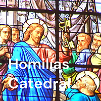 Homil&iacute;as Catedral