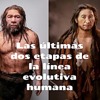 Las &uacute;ltimas dos etapas de la l&iacute;nea evolutiva humana