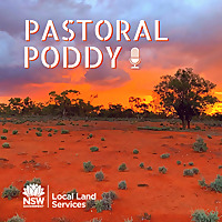 Pastoral Poddy - Australian Farming