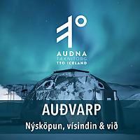 Au&eth;varp - N&yacute;sk&ouml;pun, V&iacute;sindin og vi&eth;