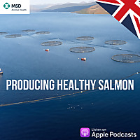 Producing Healthy Salmon
