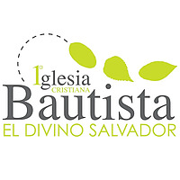 PIB VALLARTA