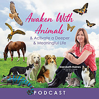 Awaken With Animals