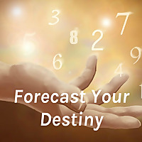 Forecast Your Destiny
