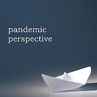 Pandemic Perspective