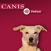 Der CANIS-Podcast Hundeexpert:innen ausgefragt