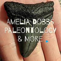 Amelia Dobbs Paleontology & More