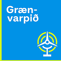 Gr&aelig;nvarpi&eth;
